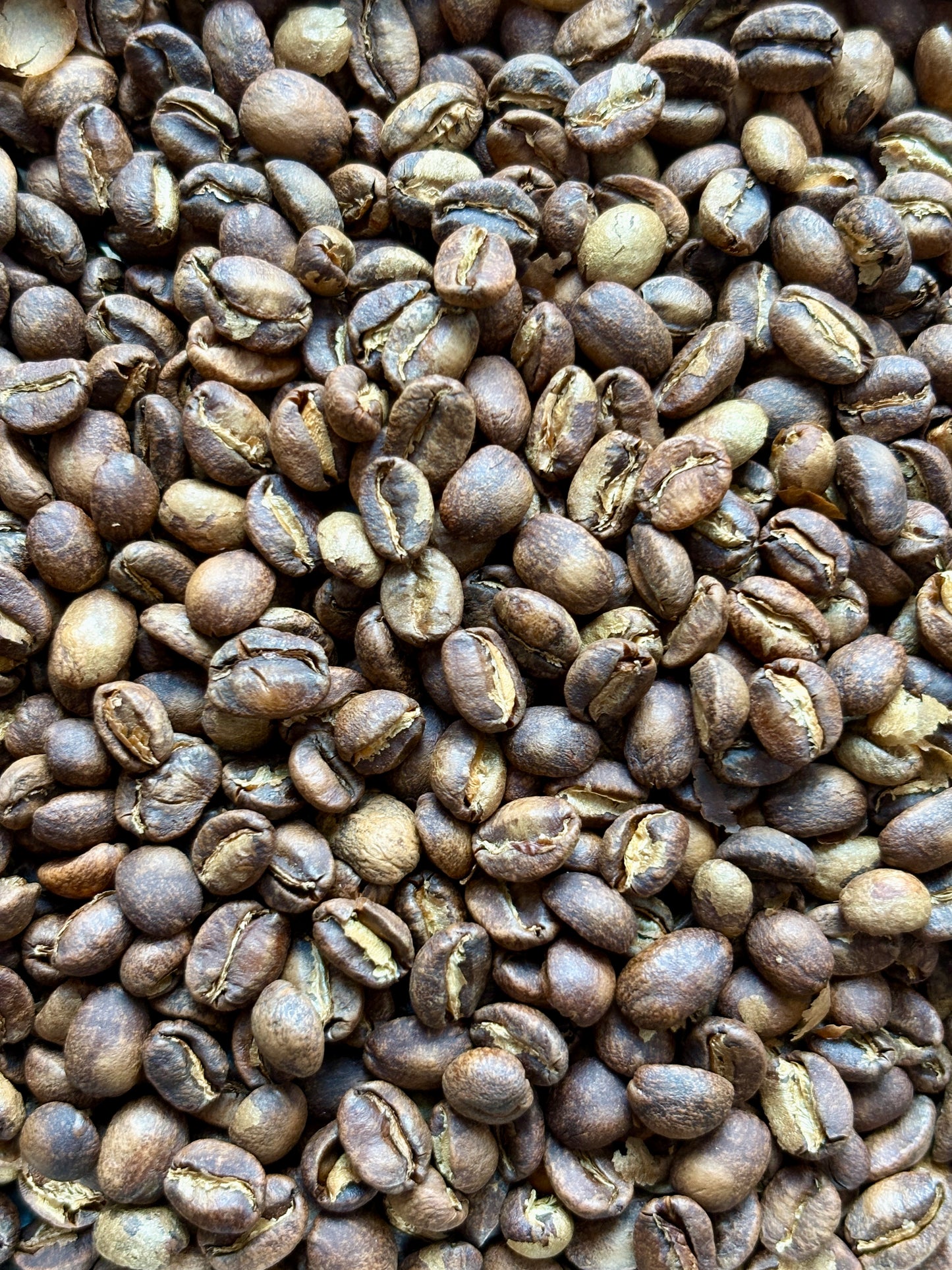 Ciocces - Coffea Diversa x Finca Gascón