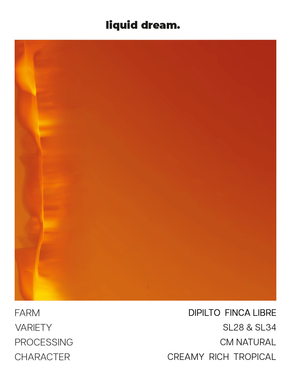 SL28 & SL34 - Finca Libre