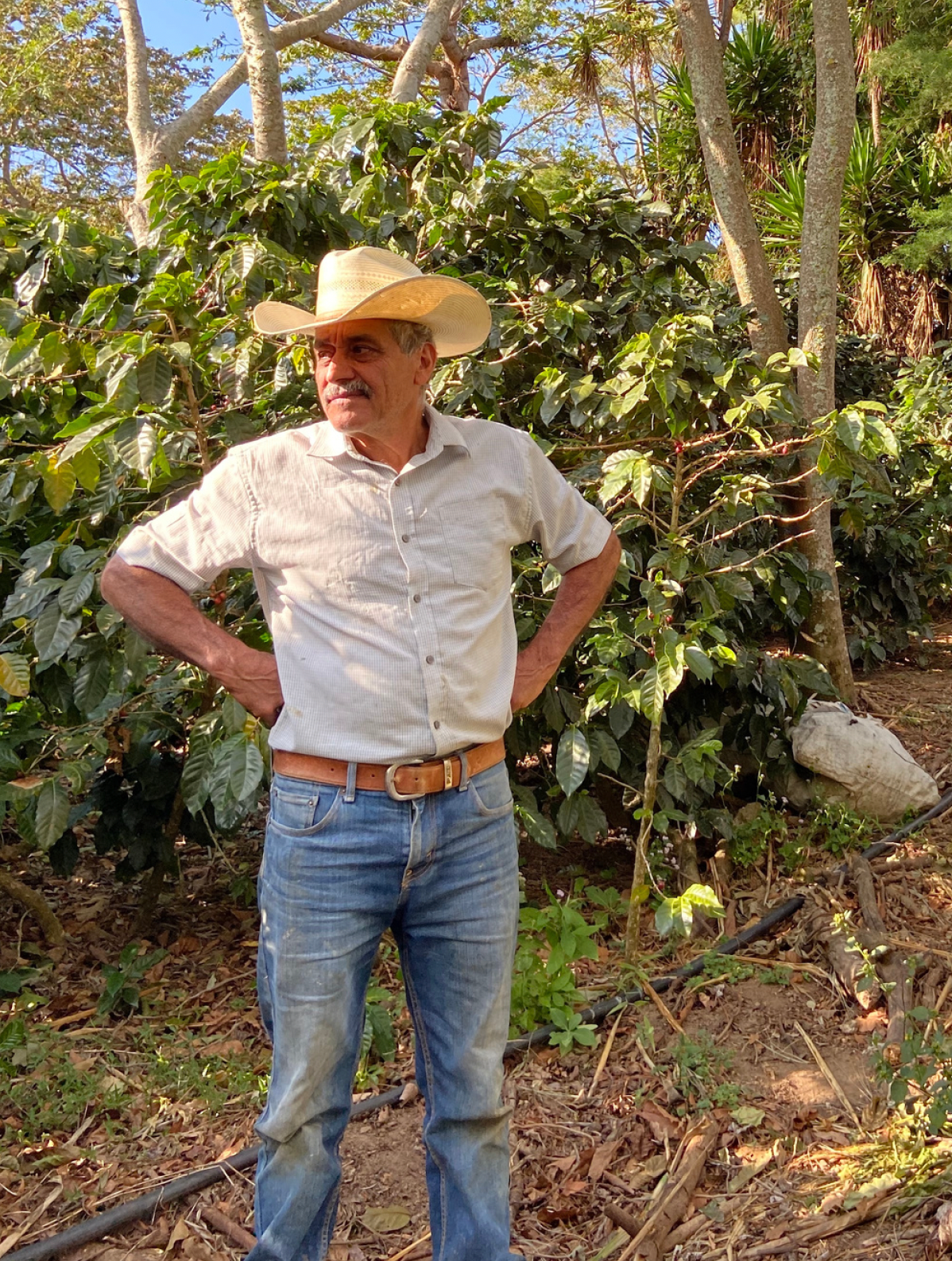 monthly subscription.