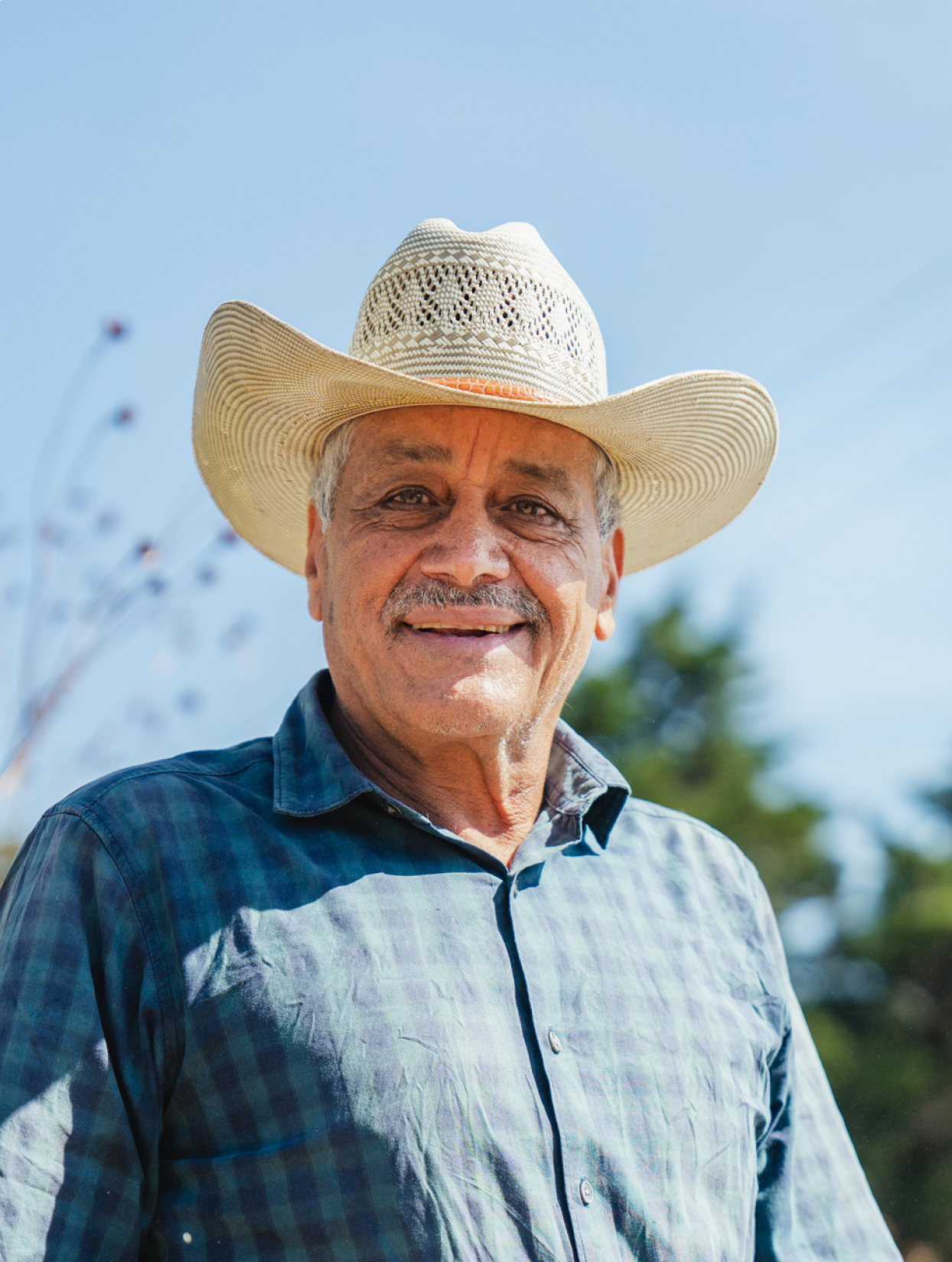 monthly subscription.