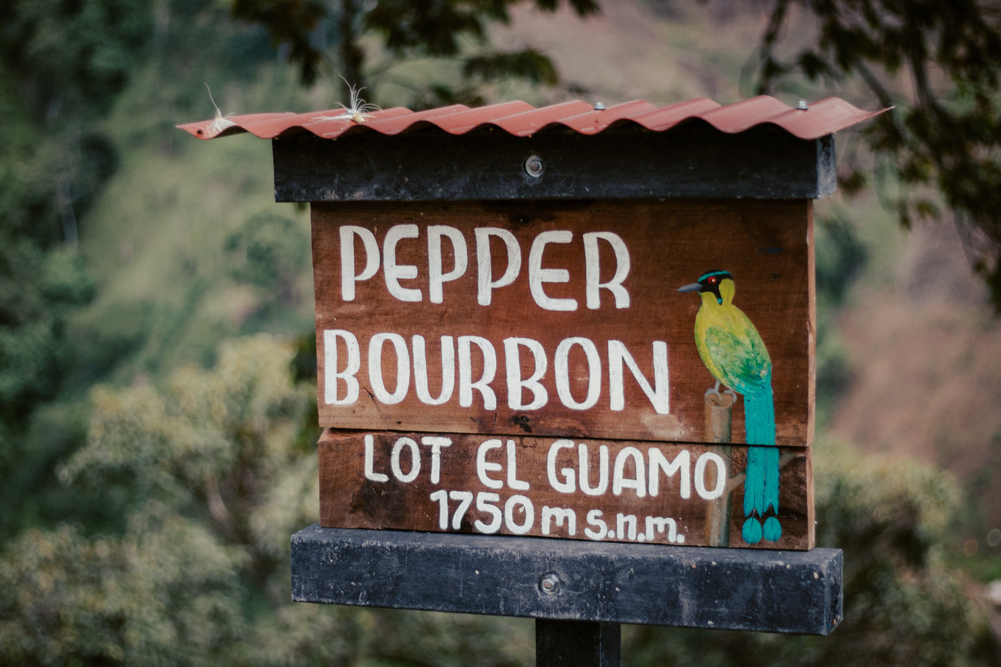Bourbon Pimienta - Los Nogales